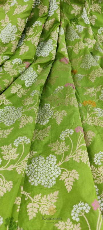 Green Katan Silk Ganga-Jamuna Banarasi Handloom Saree Cutwork