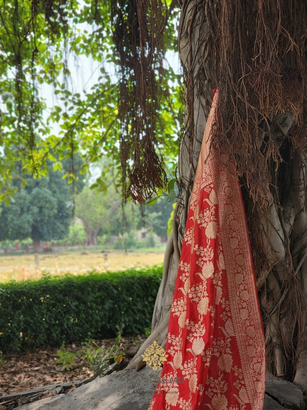 Red Kadwa Katan Silk Banarasi Saree